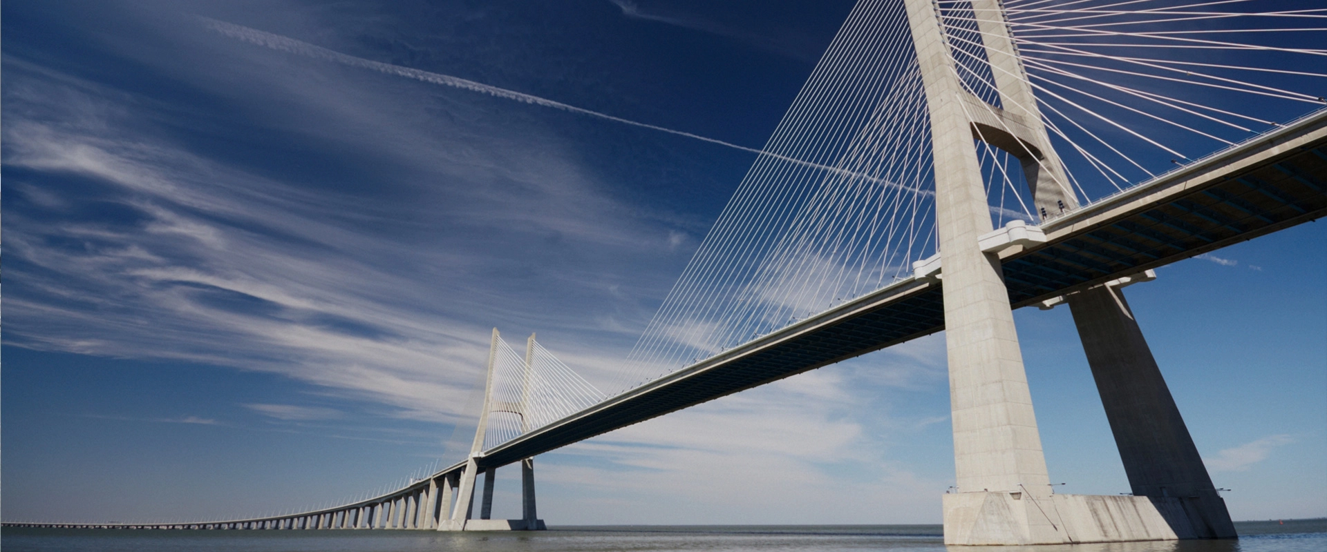 Field of Expertise Puentes